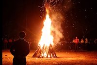 Oplus_16908288